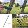 Tree Stakes and Supports, Fetanten Tree Stake Kit with Tree