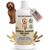 We Love Doodles- Champú de Avena Premium 5 en 1