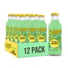 Calypso Lemonade, Kiwi Lemonade, Made with Real Fruit, 16 Fl