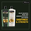 TRESemmé Botanique Shampoo Damage Recovery 22 oz