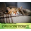 Zenpaws Upgraded No Scent - Diffuser Cat Relaxant Refill -