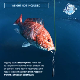 Fishsaverpro Dispositivo de retorno descendente de peces - Dispositivo de liberación compacto y fiable construido para una larga vida útil. Sin liberación mecánica para fallar. Ideal para pargo rojo. A diferencia de las herramientas de ventilación de pec
