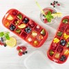 Xavax Set of 2 Ice Cube Trays with Lid (Ice