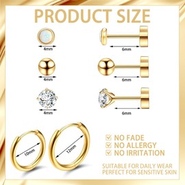 5 Pairs of Medical Stud Earrings Titanium Earrings Women's Surgical Steel Medical Earrings Titanium Medical Earrings Surgical Steel Medical Stud Earrings Titanium Earrings, Stainless Steel