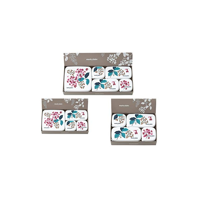 Tamahashi Marie Claire Sealing Containers, Multicolor, Rectangular Shape, 9.8 fl