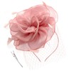 DRESHOW Fascinators Royal Banquet Ribbons Feathers Headwear with Mesh Veil