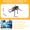 AENIMELY Large Rhinoceros Beetle Figurine – Hollow Realistic Insect Bug