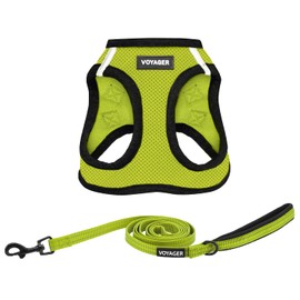 Voyager Step-in Air All Weather Mesh Harness and Reflective Dog 5 ft Leash Combo with Neoprene Handle, for Small, Medium and Large Breed Puppies by Best Pet Supplies - Lime/Black Trim, X-Small
