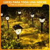 BYCRAY Juego de 6 luces solares para caminos de jardín,