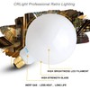 CRLight 15W Dimmable LED Large Globe Bulb 3000K Soft White,