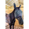 AJ Tack Fly Mask with Ears Extra Large