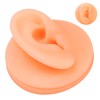 Silicone Ear Acupuncture Practice Model Reusable Simulation Ear Display Model
