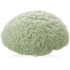 Dr Sponge Facial Cleansing Sponge, Green Tea by Dr Sponge