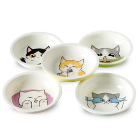 Ceramic Cat Bowls Set - 5.7 inch Wide Cat Food Bowl Whisker Fatigue Friendly, 5 Colorful Kitten Dish Plates with Cute Pattern for Wet and Dry Food Water and Small Pet