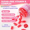 2 Pack Vitamin B Complex Gummies, All B Vitamins +