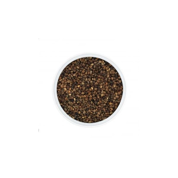 Dragonspice Naturwaren Cardamom Without Shell, 50 g, 50 g