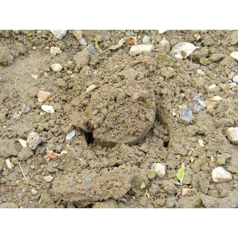 W0474 Garland Heavy Duty Bulb Planter (Short Handled)