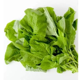 White 1000-2000 Varieties Red, Green, Red Stem, White Amaranth  Chinese Spinach Seeds - 2000+ Red Leaf