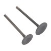 GOOFIT Pit Bike Intake Exhaust Valve Valves for Engine Head