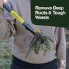 Rocklin™ Stand Up Weed Puller Tool - 4 Claw Steel