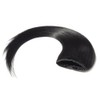8 inch SEGO Clip in Hair Extension Human Hair One
