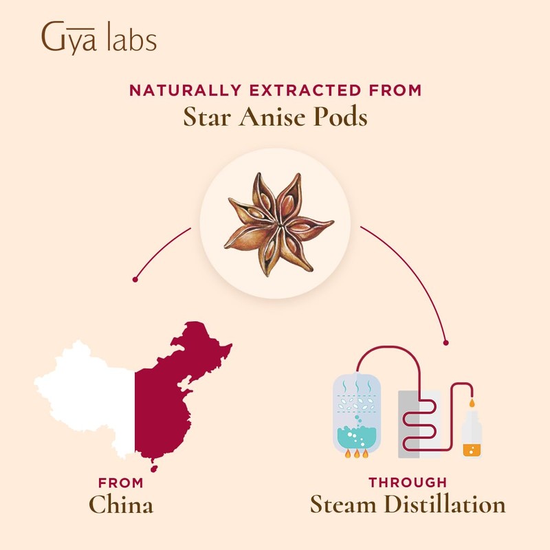 Gya Labs Star Anise Essential Oil (0.34 fl oz) -