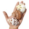 3 PCS Hermit Crab Shells 2~2.7Inch Natural Hermit Crab Shells