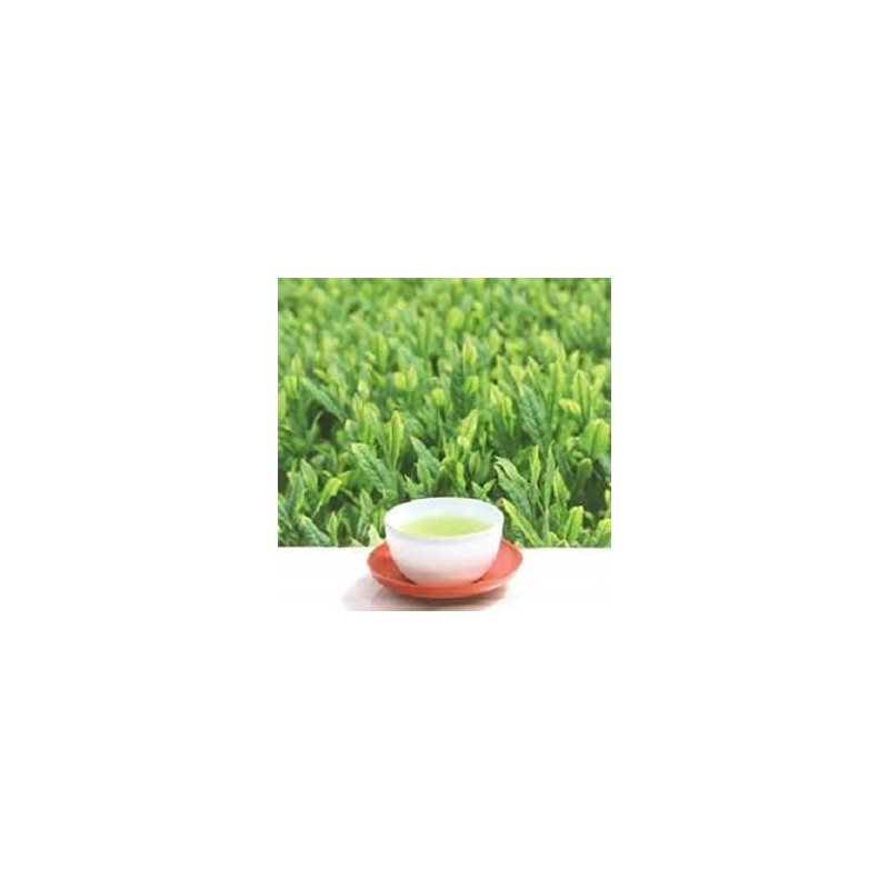 Gyokuro Green Tea 3.5 oz (100 g) (Bag)