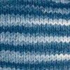 Lion Brand Yarn Cover Story Chainette, Blanket Yarn, Teal, 1