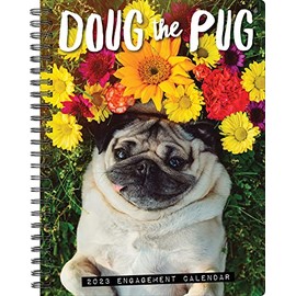 Doug the Pug 2023 Engagement Calendar