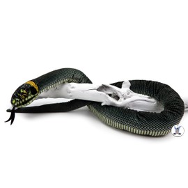 Kuscheltiere.biz Snake Arvid Snake Plush Snake 150 cm