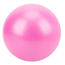 QANYEGN 25cm Heavy Duty Yoga Exercise Ball, 3 Colors Pilates Workout Equipment, PVC Material Pilates Ball for Home Gym Accessory(Pink)