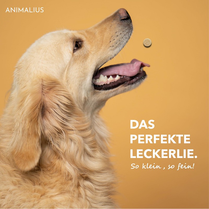 Animalius® Joint Tablets for Dogs Extra Small [For All Dog