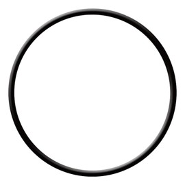 Generic Lid O-Ring for Hydro Pump Pool Pumps, O-12