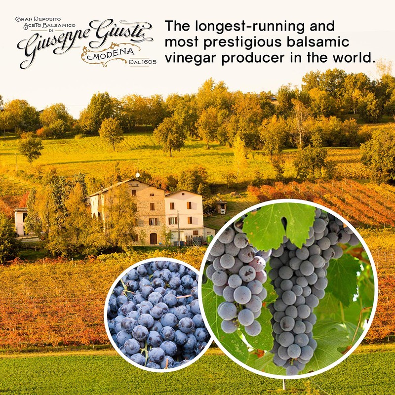 Giuseppe Giusti Aged Balsamic Vinegar of Modena - 1 Silver