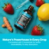 Ashwagandha & Turmeric Liquid Drops - Vitamin C, Sea Moss,
