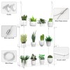 Hanging Clear Plant Shelves for Windows, 3-Tier Acrylic Window Wall
