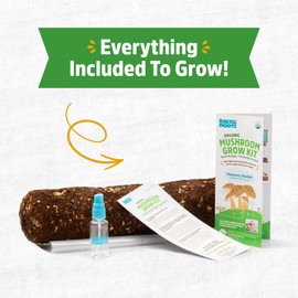 Back to the Roots Organic Shiitake Mushroom Kit; Great Gift; Easy for Beginners, For Indoor Growing (Start Growing Right Away)