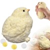 DLAIUSMALL Squishy Chicken, Handmade Chicken Squishy Toy, Stress Relief for