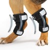 GFKRHPNY 1 Pair Short Dog Rear Leg Hock Ankle Brace