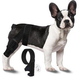 Tinzum XS Dog Knee Brace