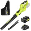 SnapFresh Leaf Vacuum, 2-in-1 Cordless Blower & Vacuum with 4.0Ah