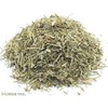 Horsetail and Green Tea Herbal Infusion (Jasmine - 25 Unbleached