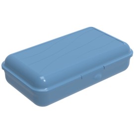 Rotho Fun Lunch Box with Removable Divider Plastic (BPA Free)
