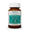 Nutricology Saccharomyces Boulardii Probiotic Supplement - S. Boulardii Probiotic Yeast