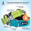 SparklyPets Heavy Duty Wide Dog Collar with Quick Release Chrome