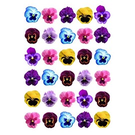 Ediblecakedecorations Ediblecakedecorations 30 x Pansy Flowers STAND UP Edible Paper Cupcake Toppers Cake Decorations