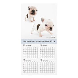 THE DOG 2026 Wall Calendar Large Size [French Bulldog]