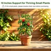 4 Pack Garden Tomato Cage for Pots, 18" Metal Tomatoes