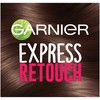 Garnier Hair Color Express Retouch Gray Hair Concealer, Instant Gray
